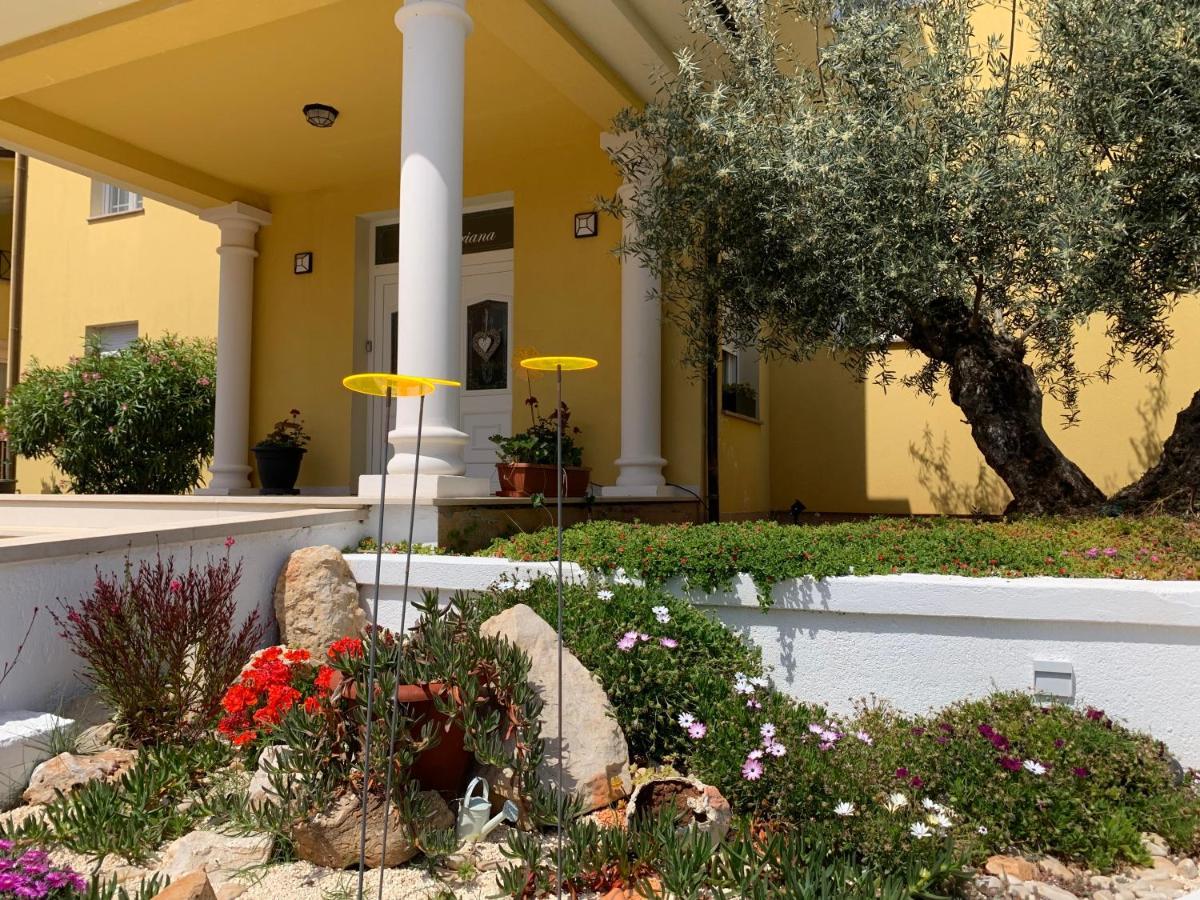 Villa Istriana Ližnjan エクステリア 写真