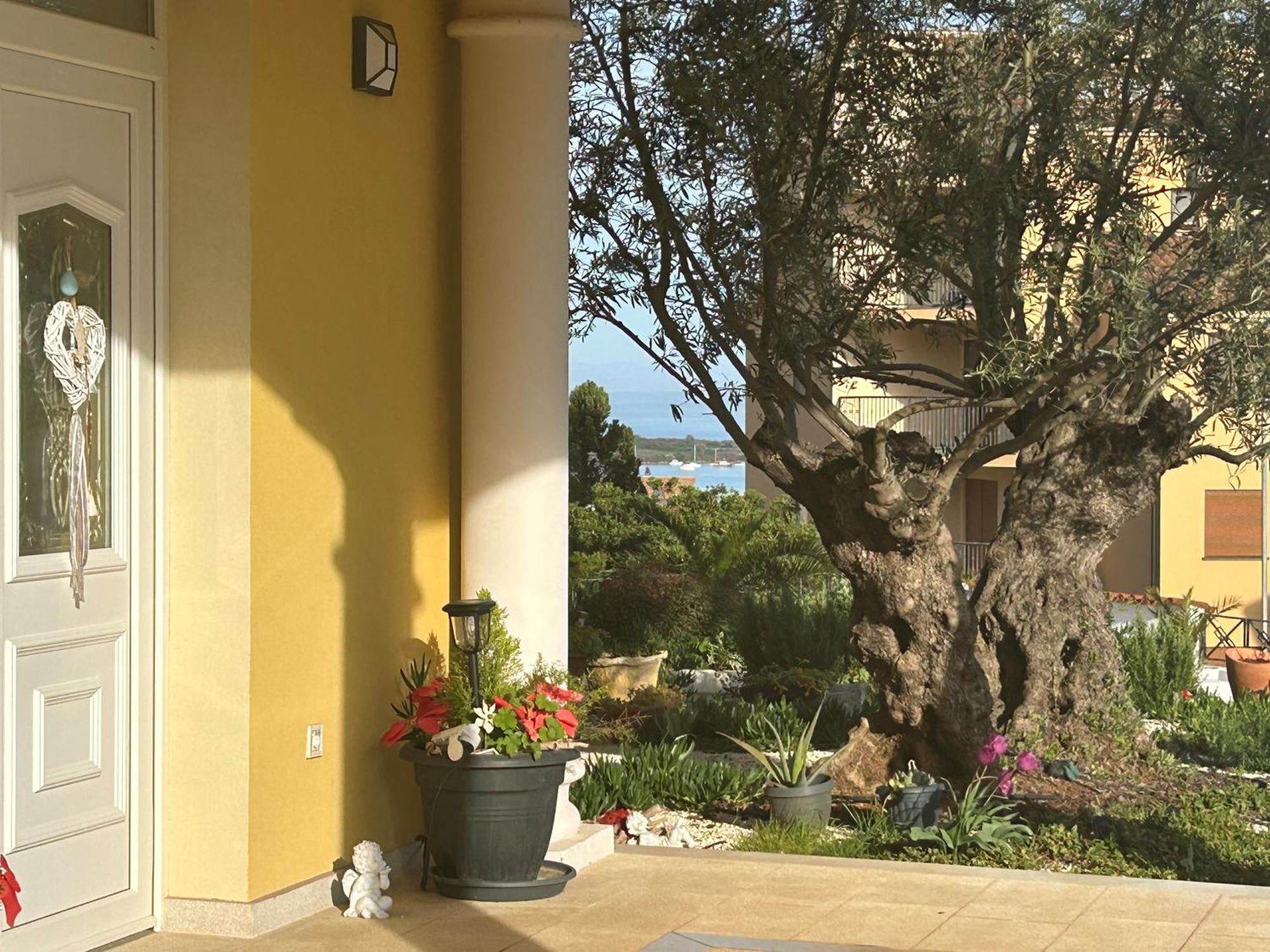 Villa Istriana Ližnjan エクステリア 写真